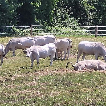 הוילה קומו Agriturismo La Fornace Centro Ippico מראה חיצוני תמונה