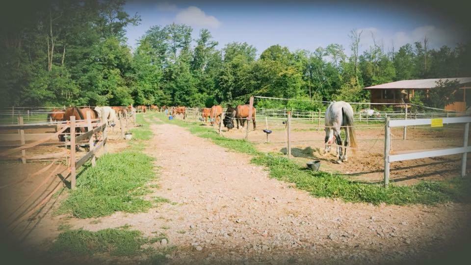 הוילה קומו Agriturismo La Fornace Centro Ippico מראה חיצוני תמונה