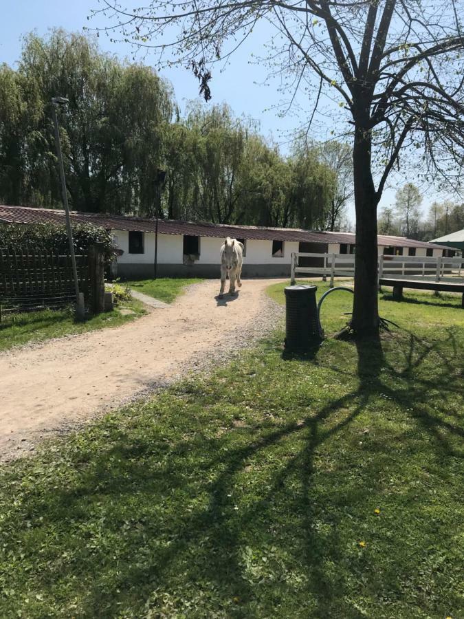 הוילה קומו Agriturismo La Fornace Centro Ippico מראה חיצוני תמונה