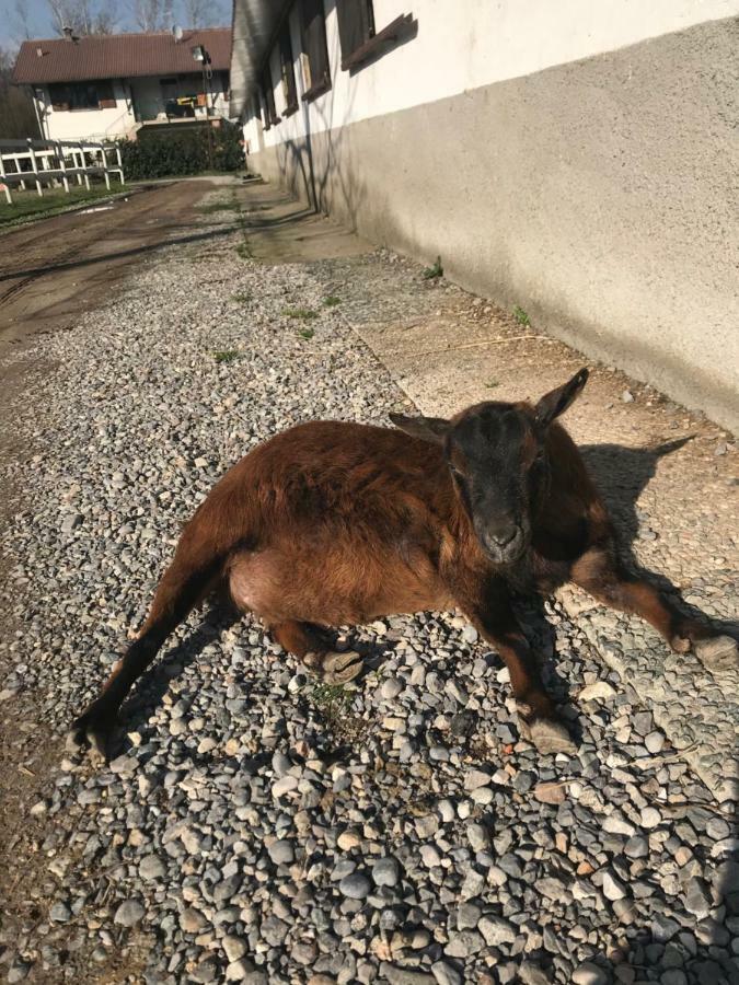 קומו Agriturismo La Fornace Centro Ippico מראה חיצוני תמונה